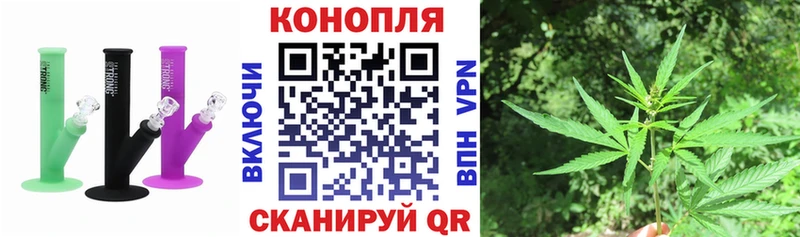 Каннабис White Widow  Беломорск 